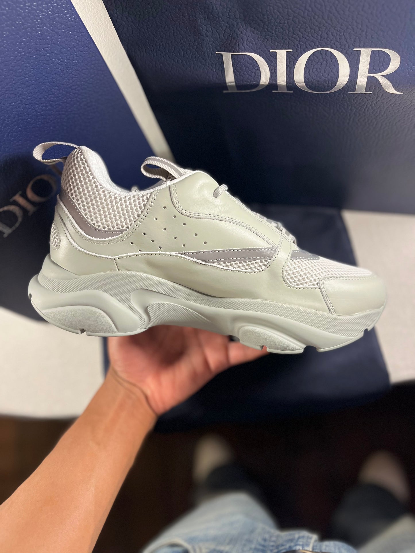 GREY DIOR B22