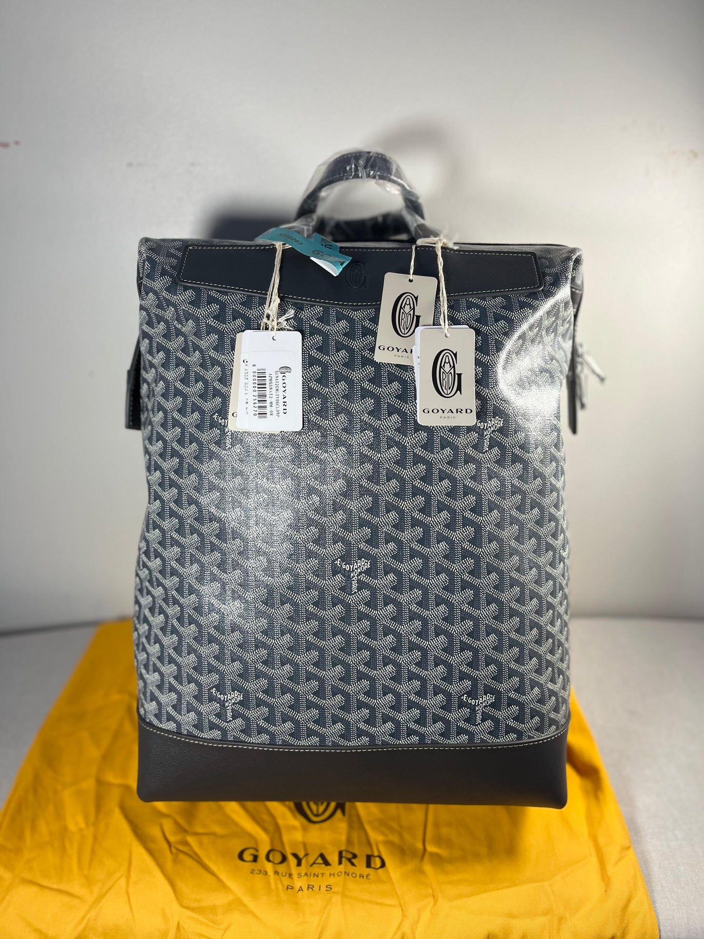 GOYARD BACKPACK