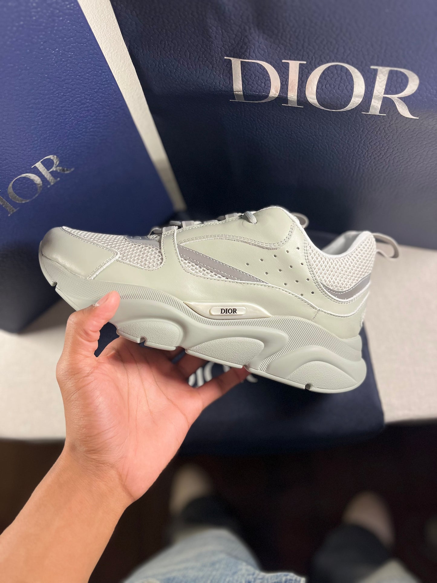 GREY DIOR B22