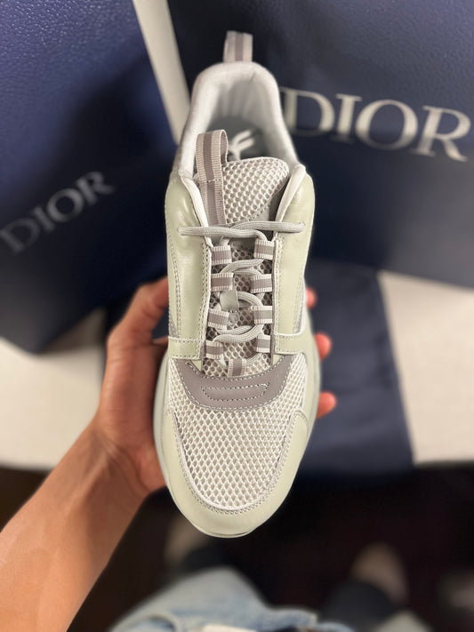 GREY DIOR B22