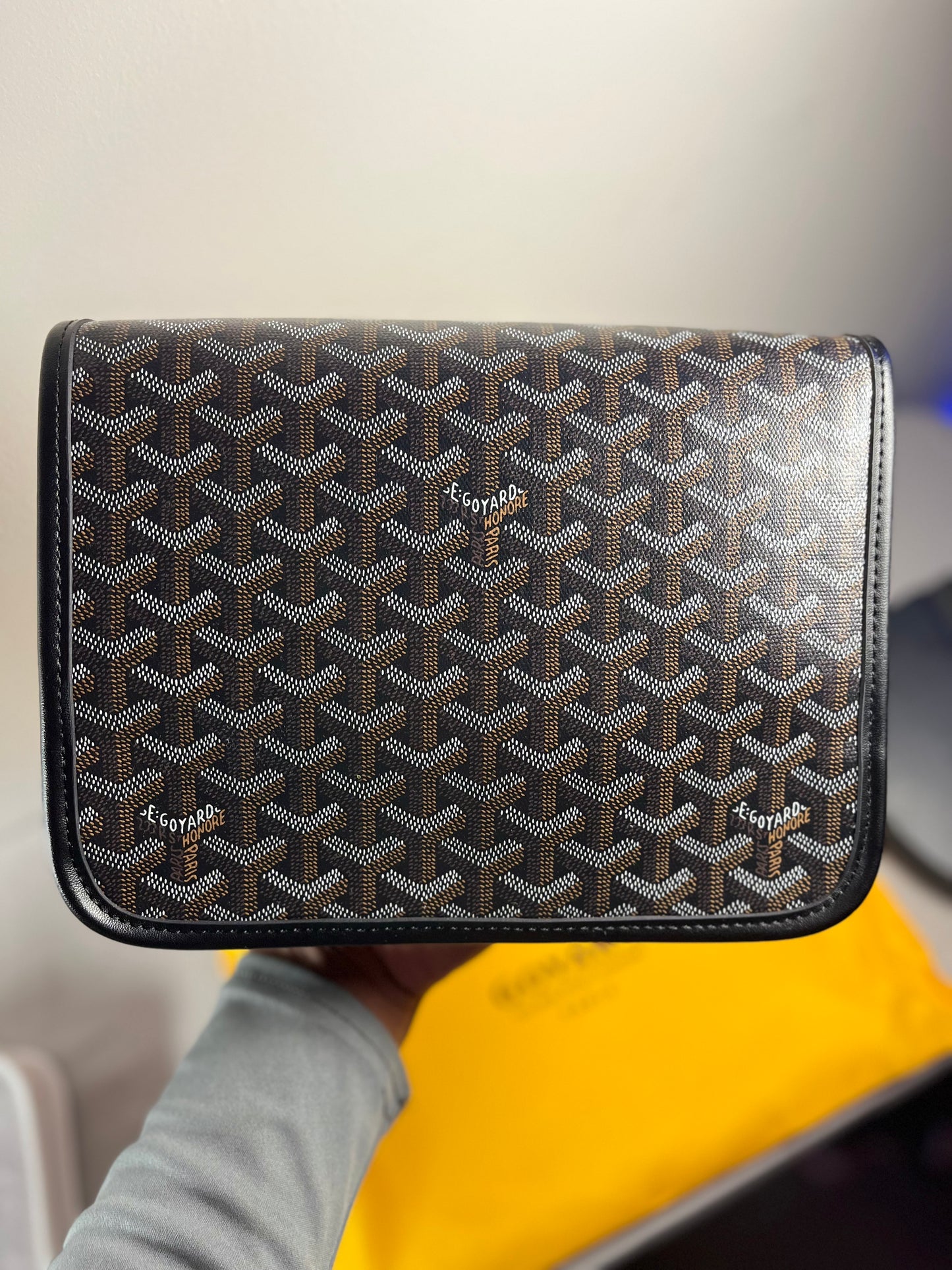 GOYARD TOILETRY BAG