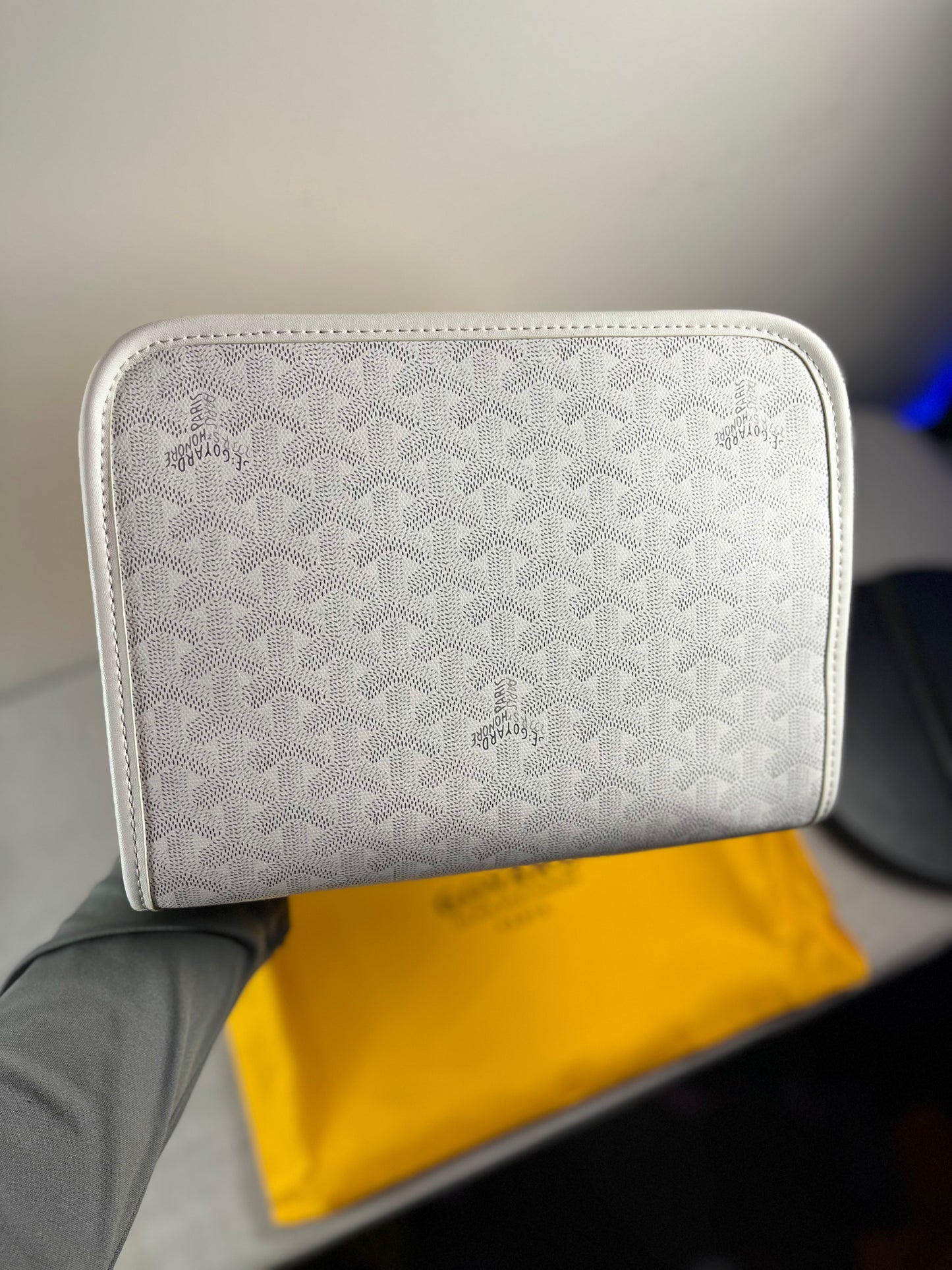 GOYARD TOILETRY BAG